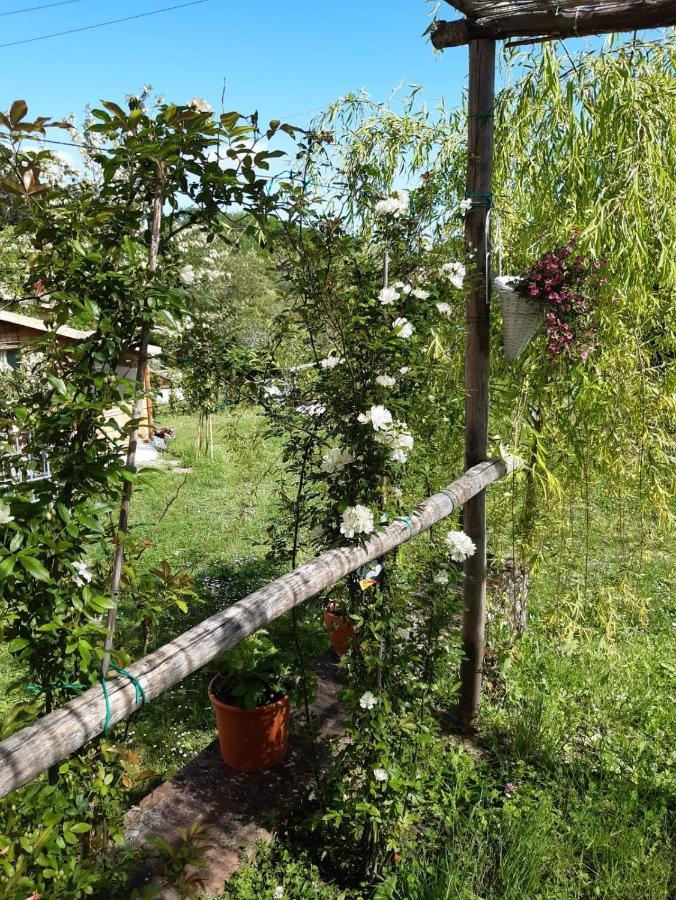 Ferienwohnung La Bellana Guardistallo Exterior foto