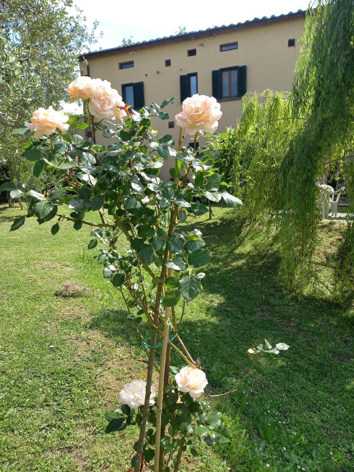 Ferienwohnung La Bellana Guardistallo Exterior foto